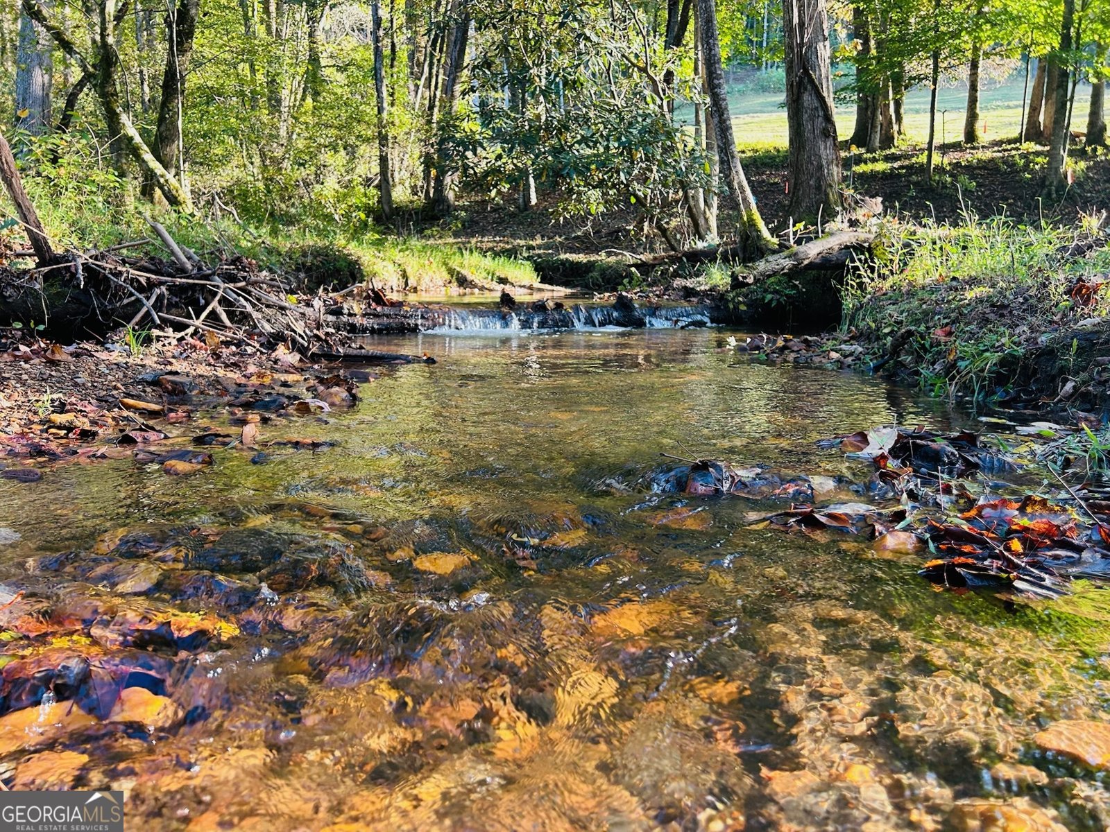 1306 Hot House Road Hayesville - 2