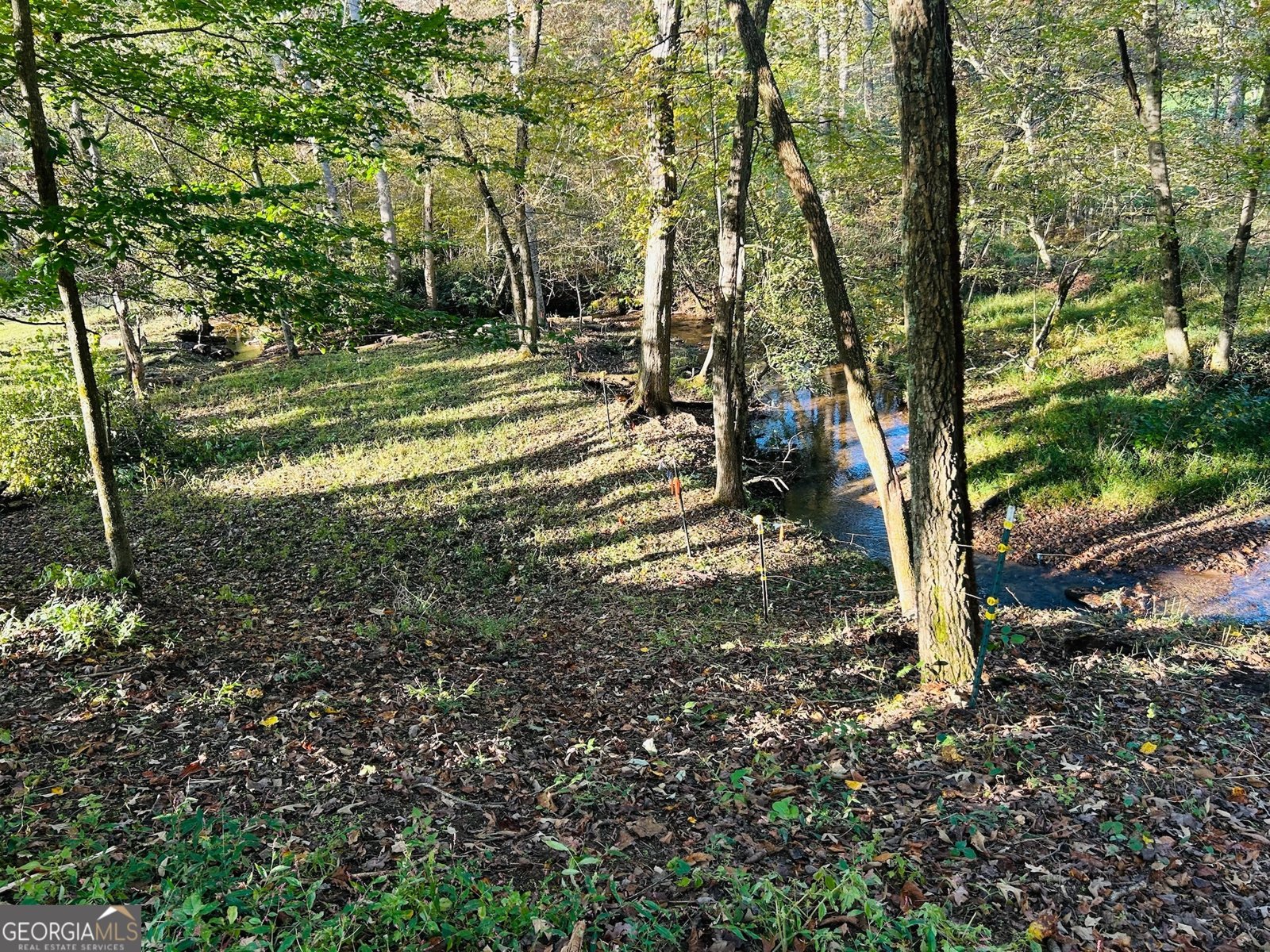 1306 Hot House Road Hayesville - 3