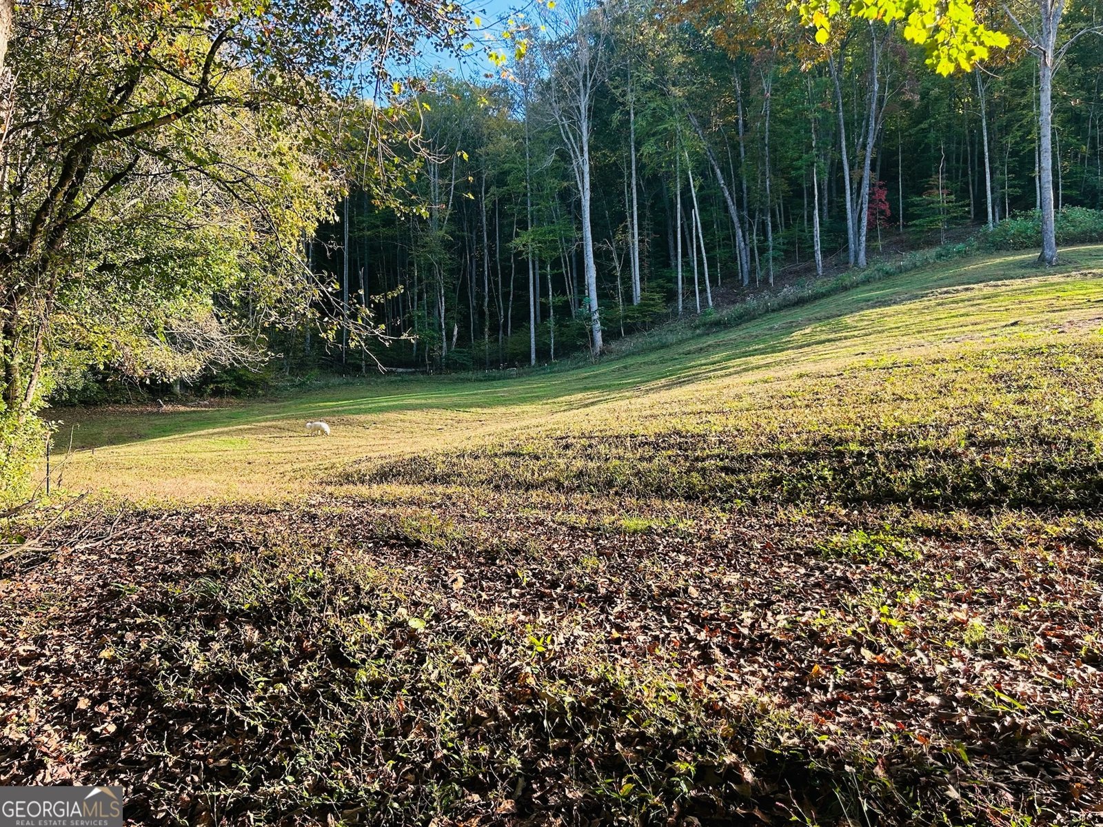 1306 Hot House Road Hayesville - 4