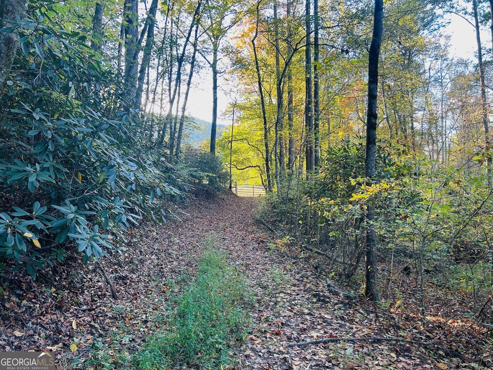 1306 Hot House Road Hayesville - 5