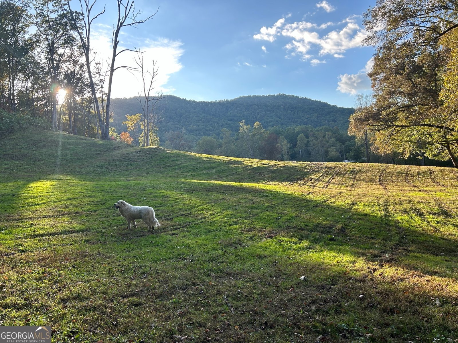 1306 Hot House Road Hayesville - 6