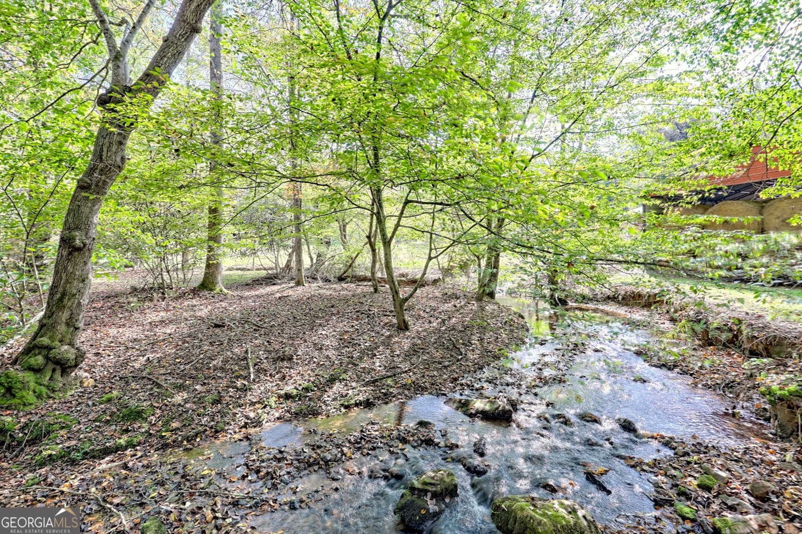 1306 Hot House Road Hayesville - 71