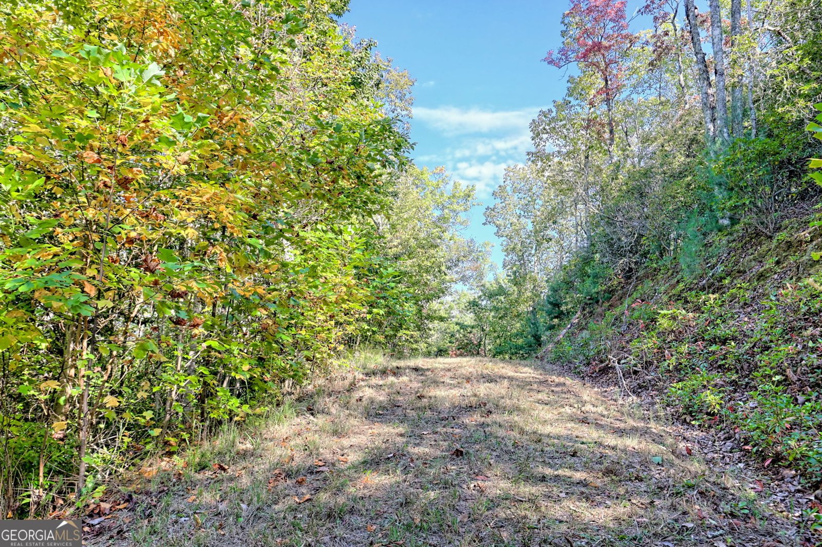 1306 Hot House Road Hayesville - 73