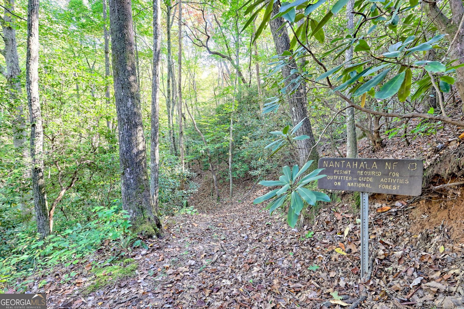 1306 Hot House Road Hayesville - 74