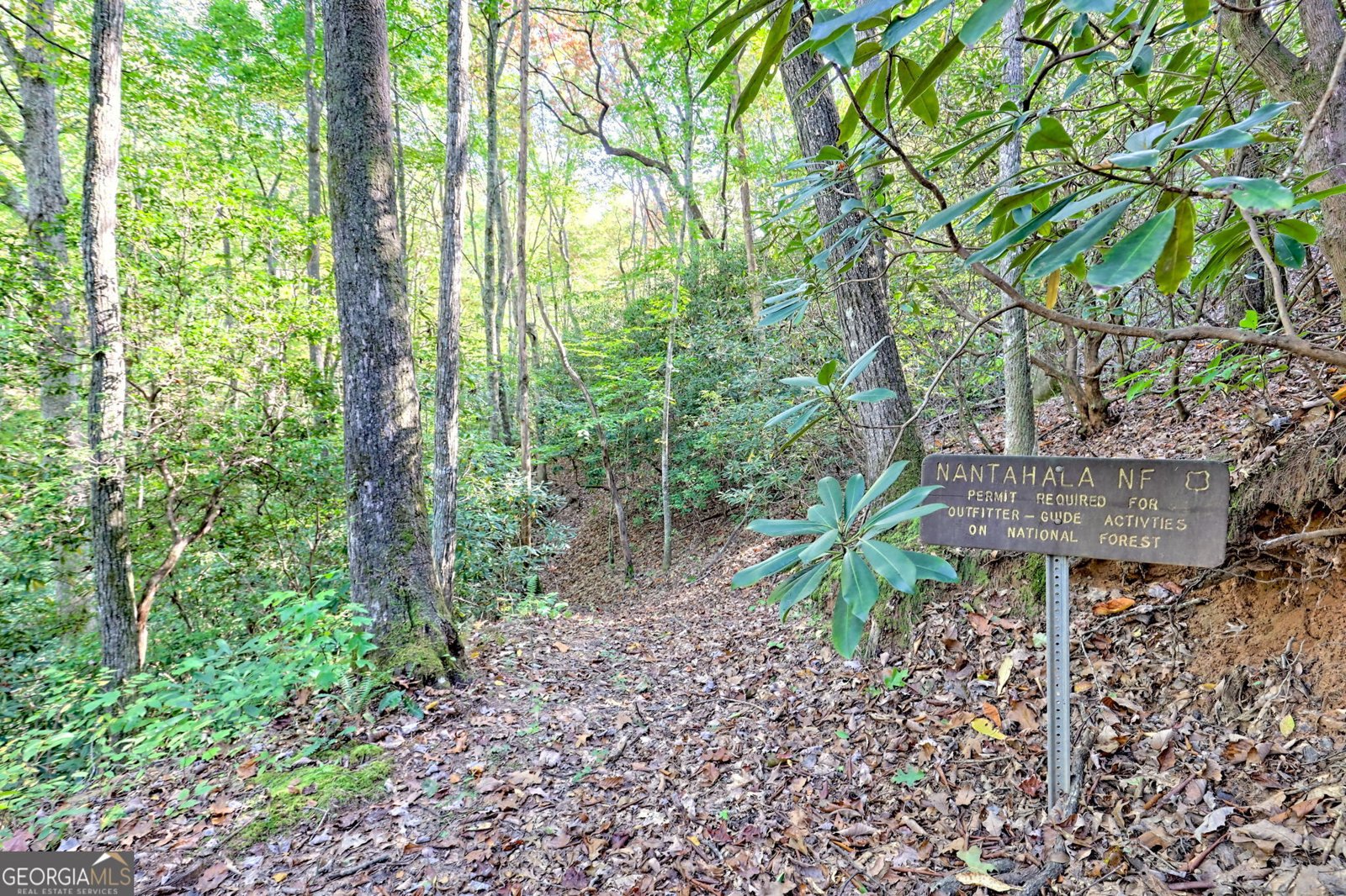 1306 Hot House Road Hayesville - 75