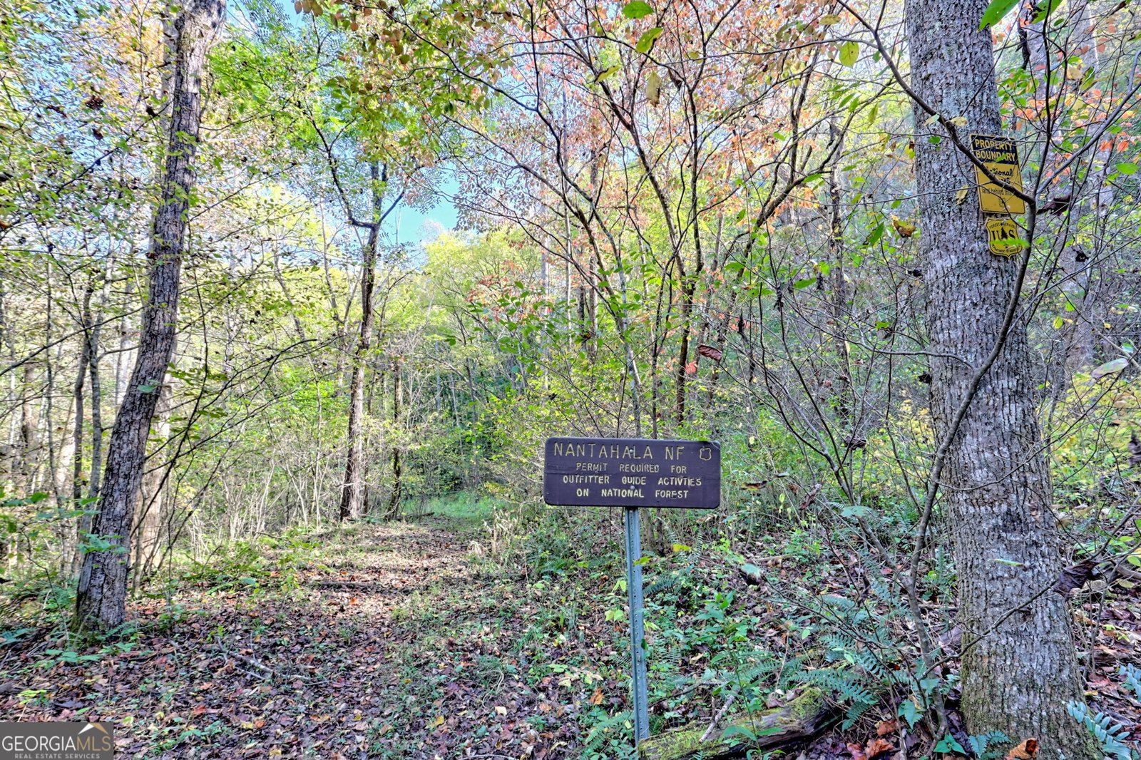 1306 Hot House Road Hayesville - 76