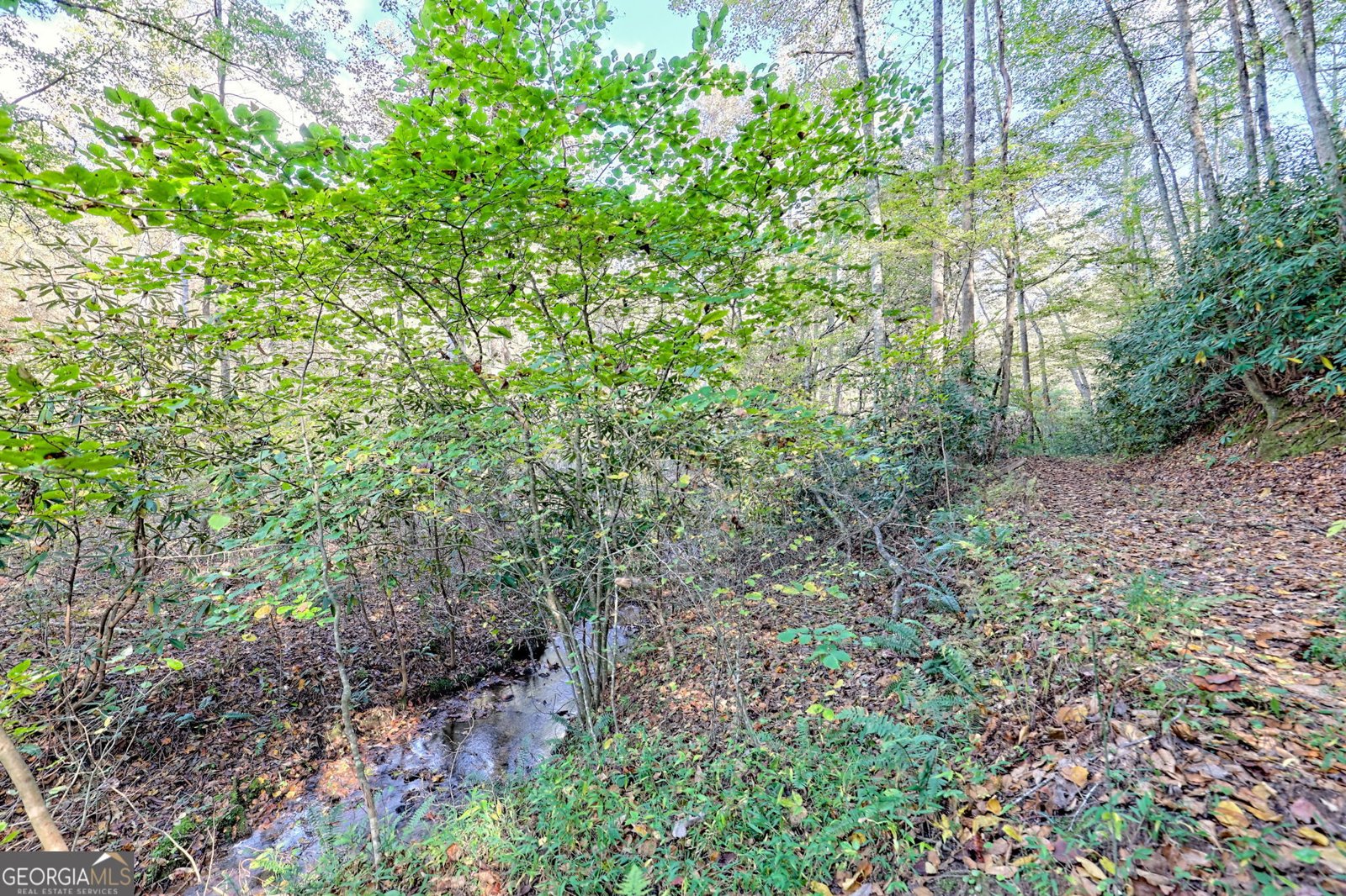 1306 Hot House Road Hayesville - 77