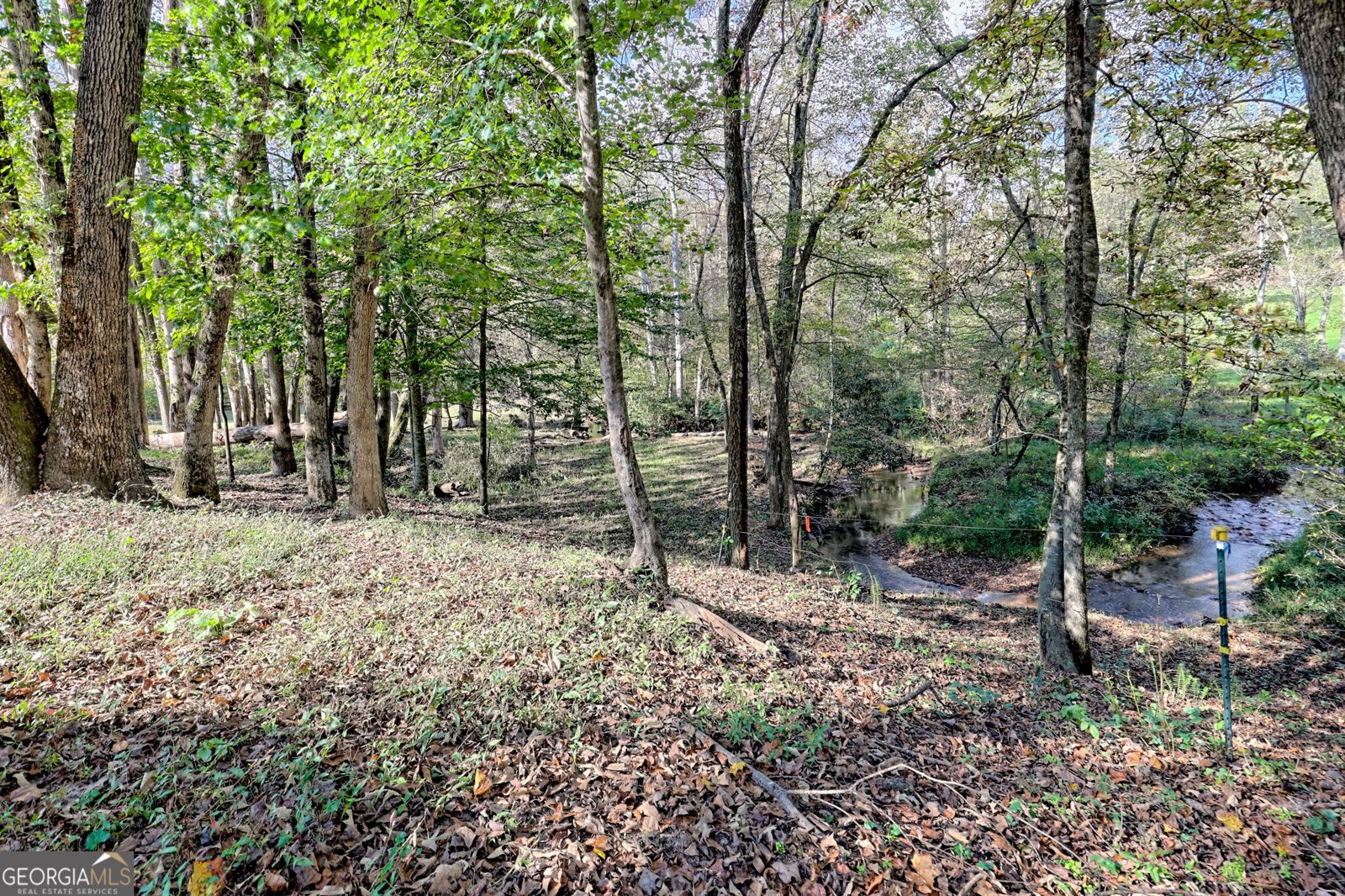 1306 Hot House Road Hayesville - 79