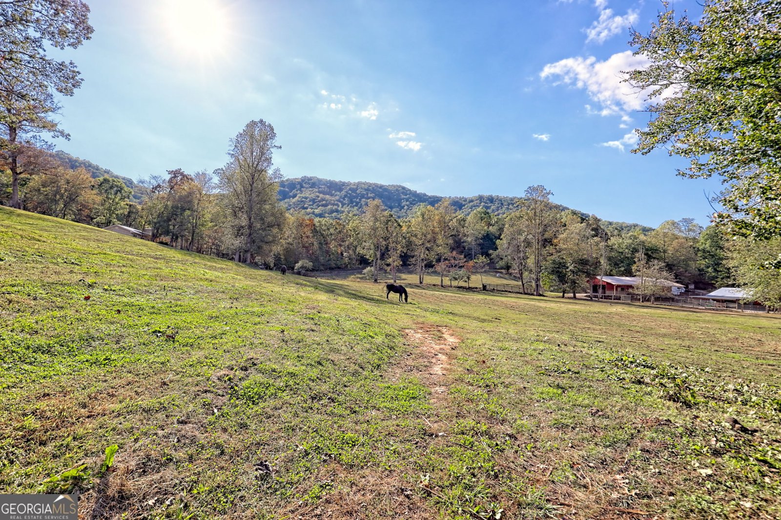 1306 Hot House Road Hayesville - 83