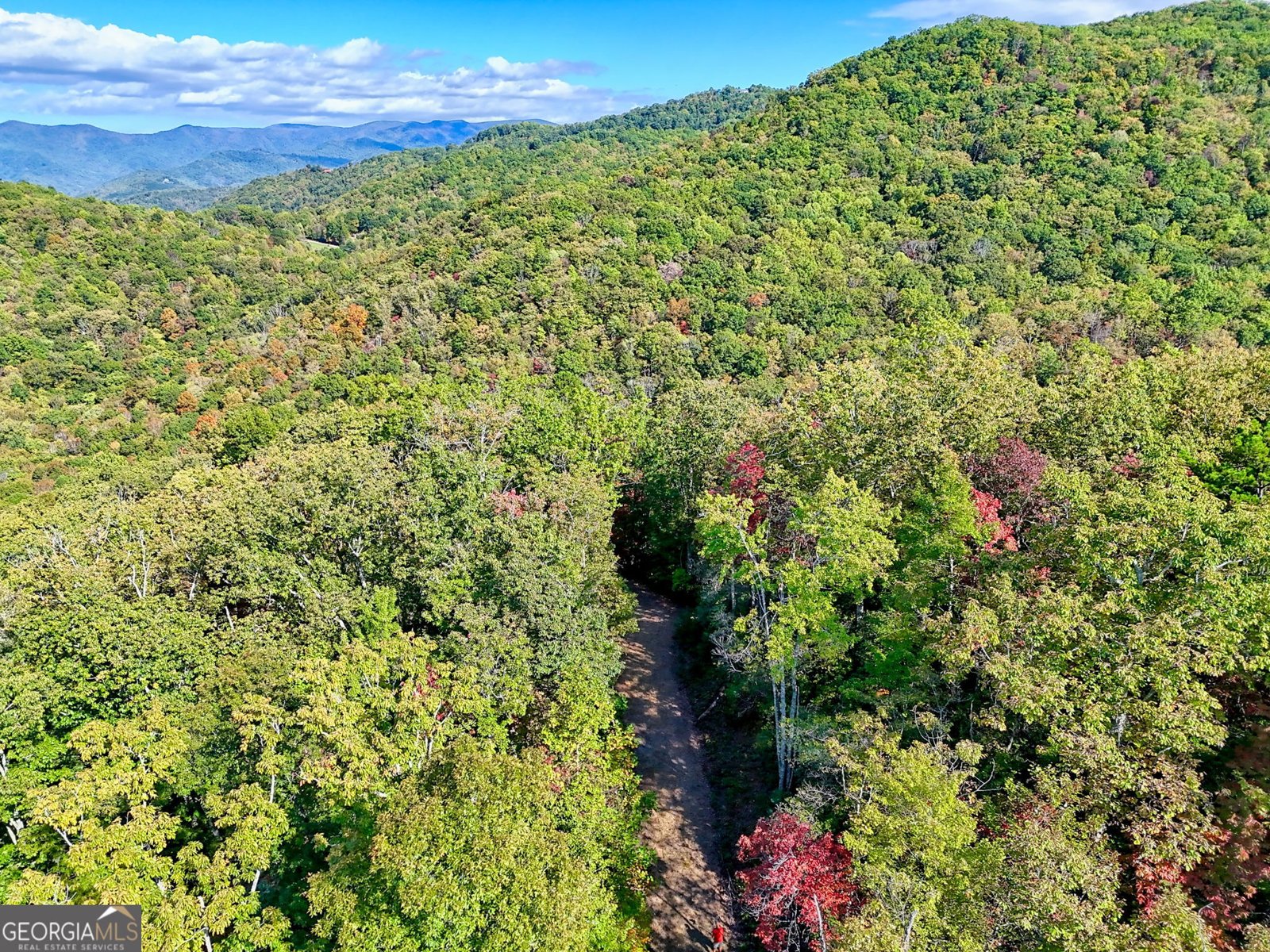 1306 Hot House Road Hayesville - 95