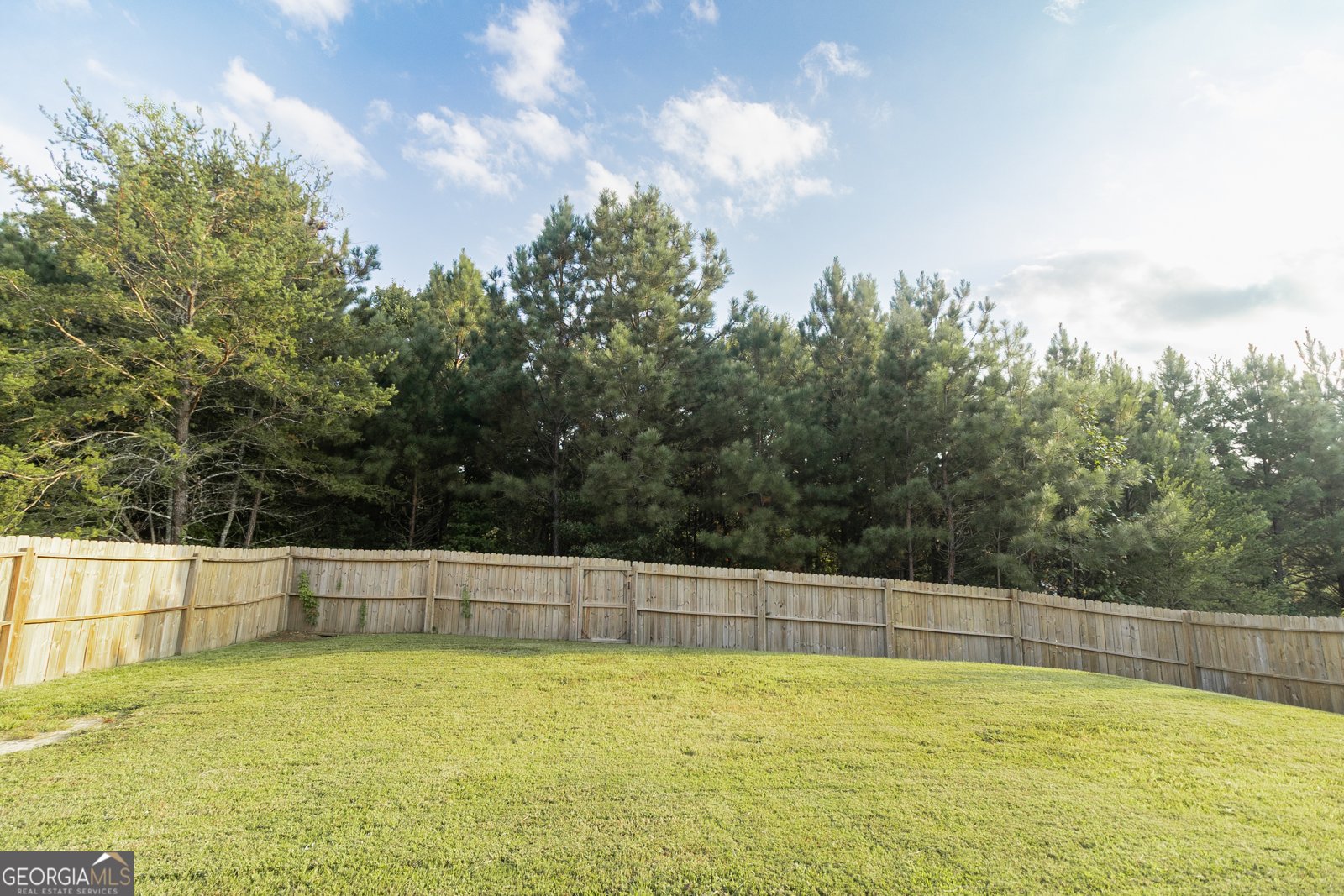 162 Red Hawk Drive Dawsonville - 14