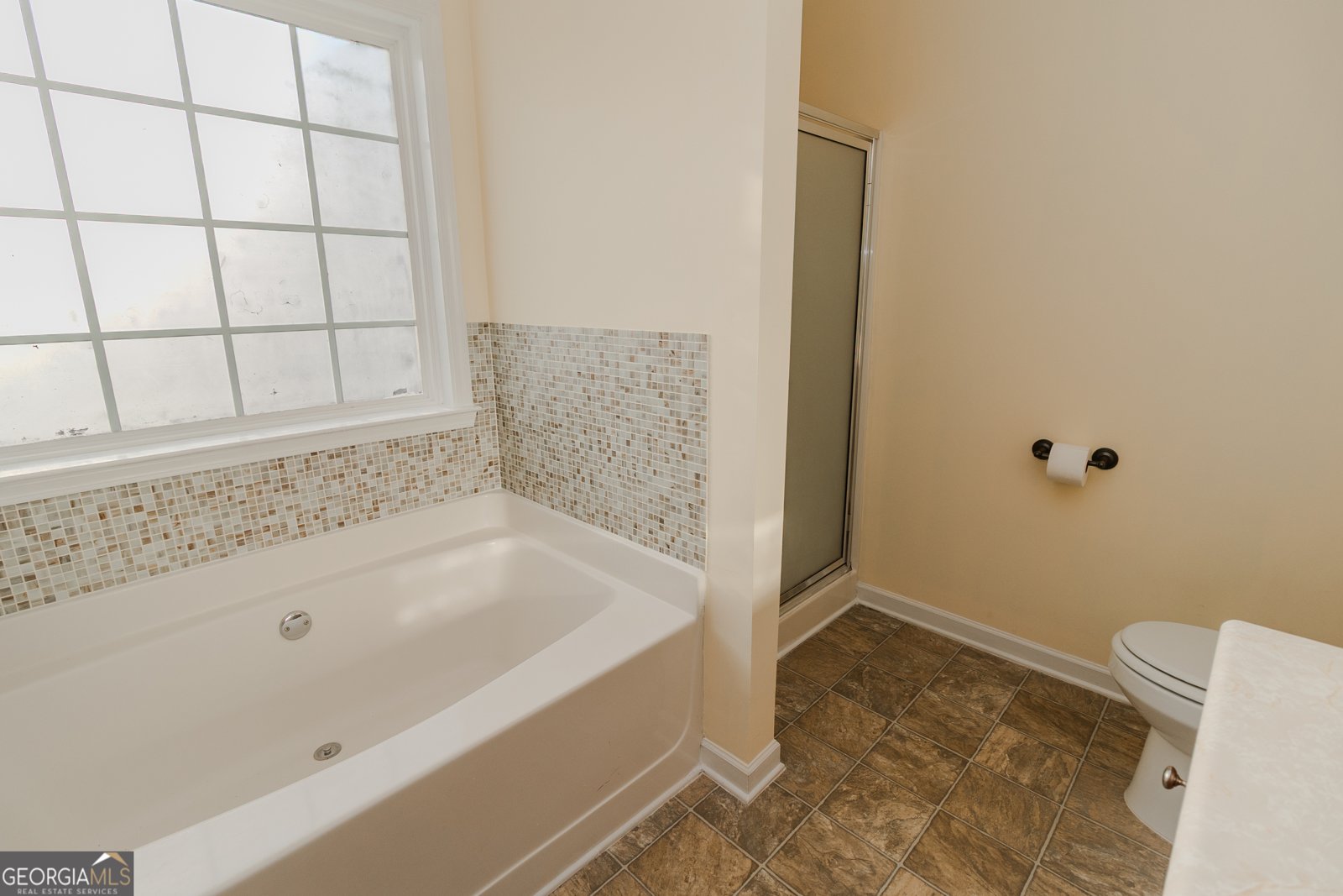 162 Red Hawk Drive Dawsonville - 18