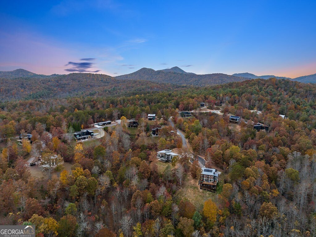 531 Brannon Ridge Young Harris - Photo 14