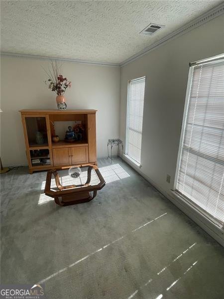 3707 CAMERON HILLS Place Ellenwood - 8