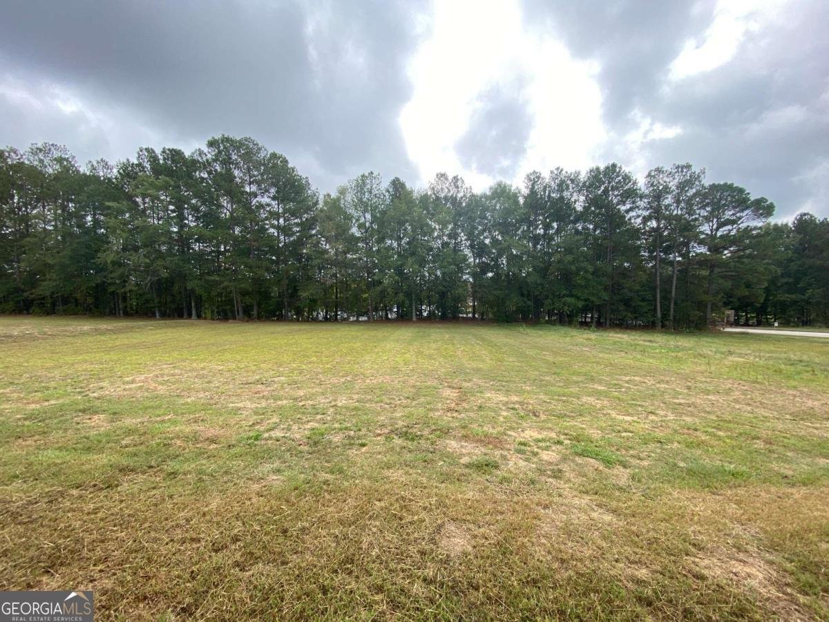 2935 Centennial Drive Conyers - 39
