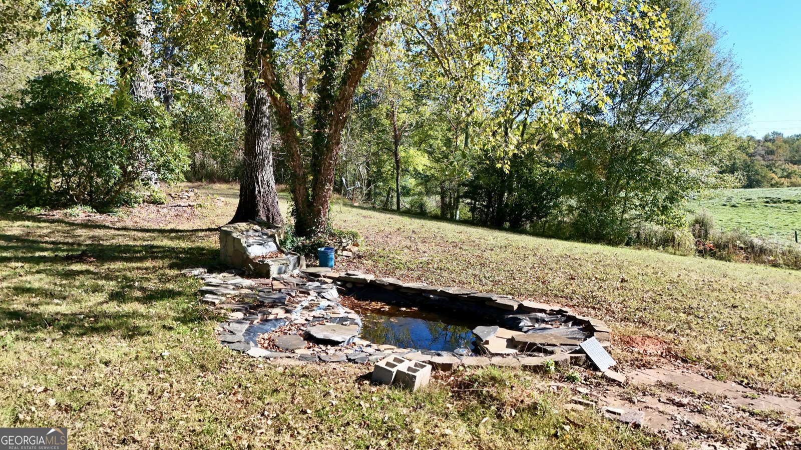 4850 New Liberty Road Clarkesville - 32