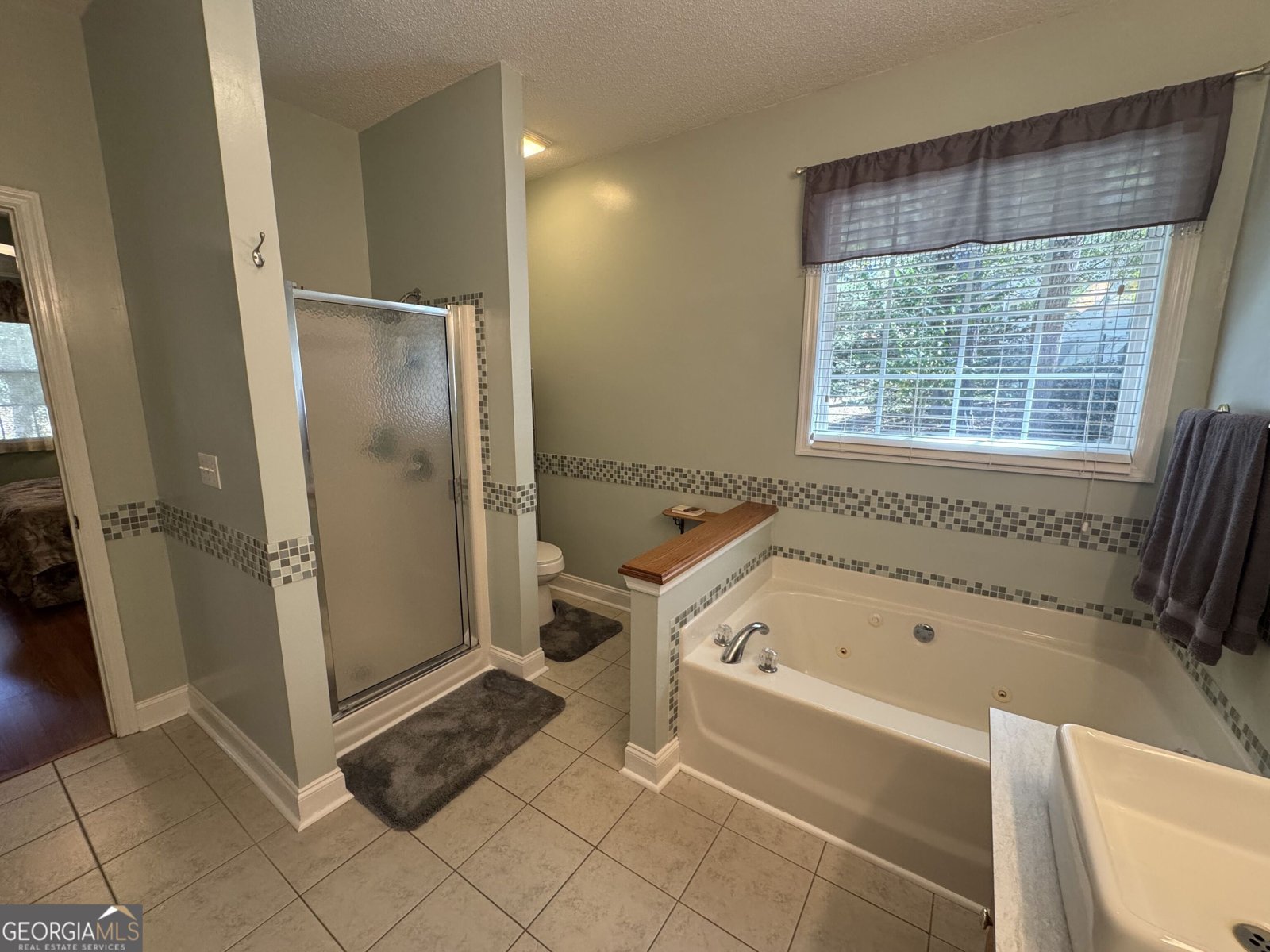 1250 Calls Creek Circle Watkinsville - 11