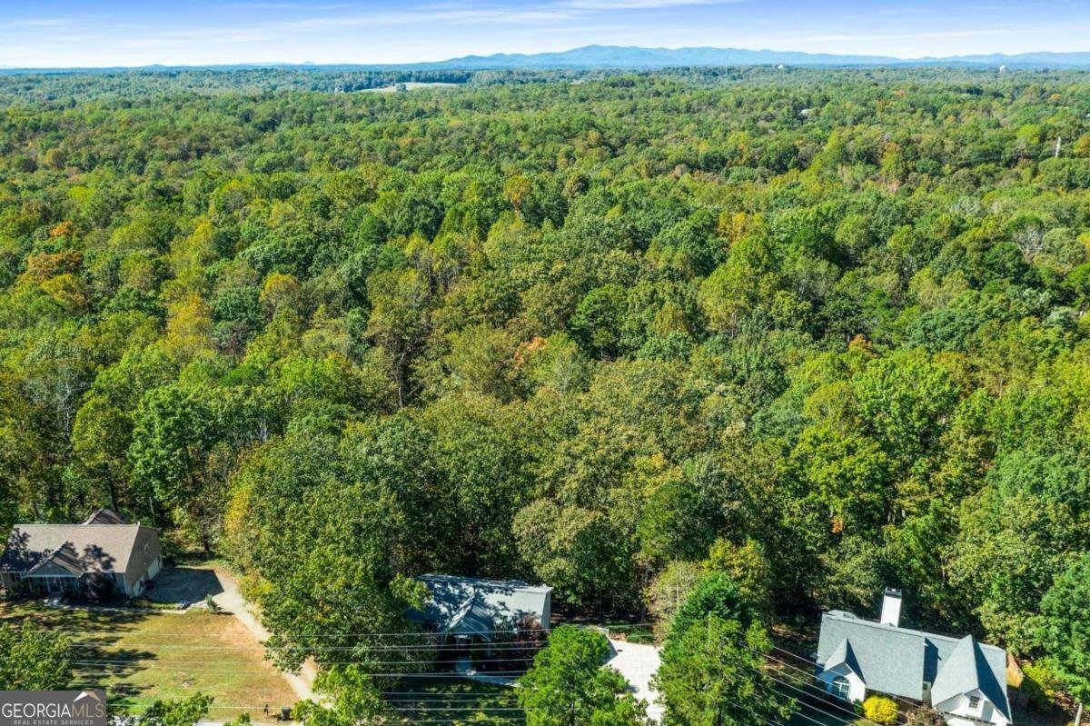 204 Hugh Stowers Road Dawsonville - 1