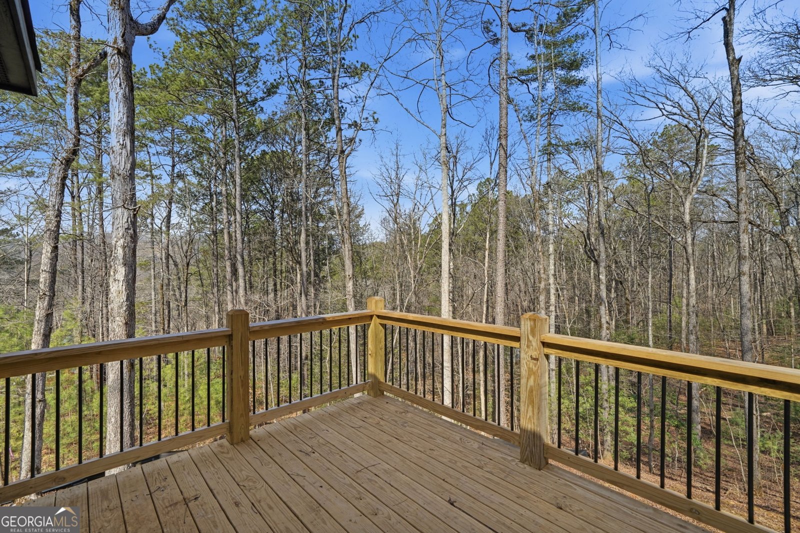 890 Joliet Drive Ellijay - Photo 31