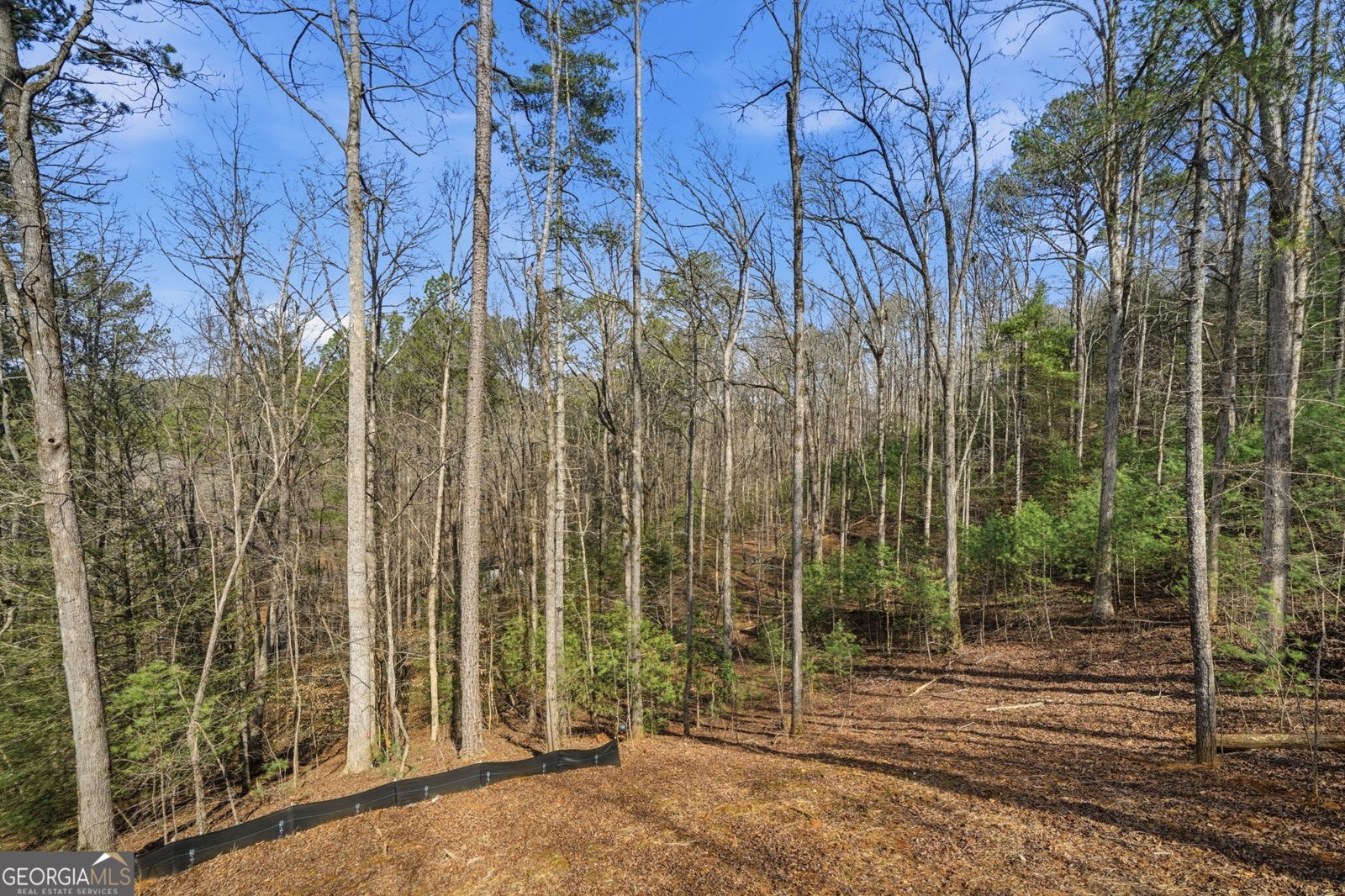 890 Joliet Drive Ellijay - Photo 36