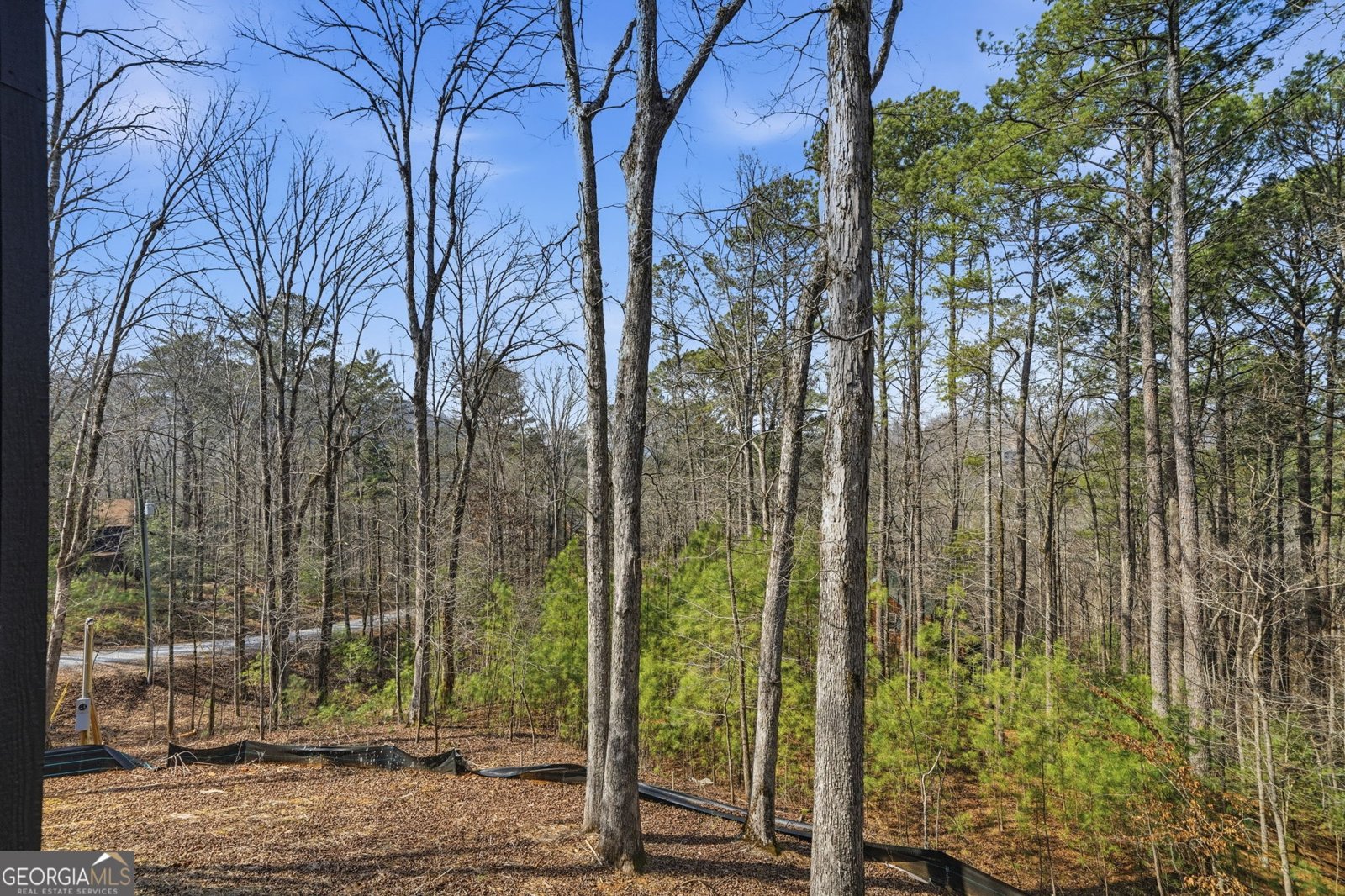 890 Joliet Drive Ellijay - Photo 37