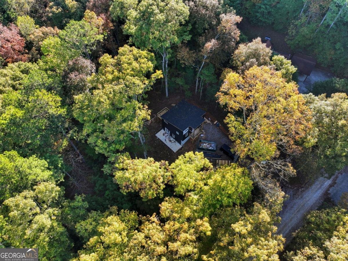 890 Joliet Drive Ellijay - 6