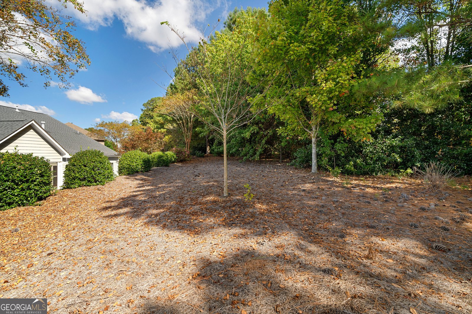 4930 Woodson Place Cumming - 54