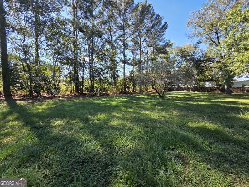 7307 Blocker Road Glennville - 5