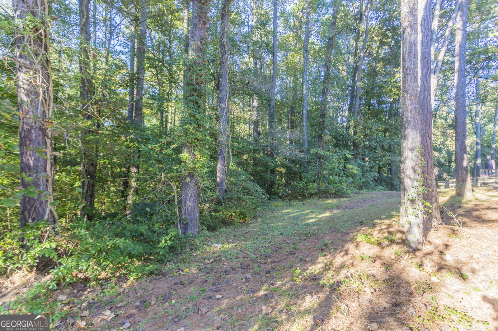 5496 Emerald Court Acworth - 7