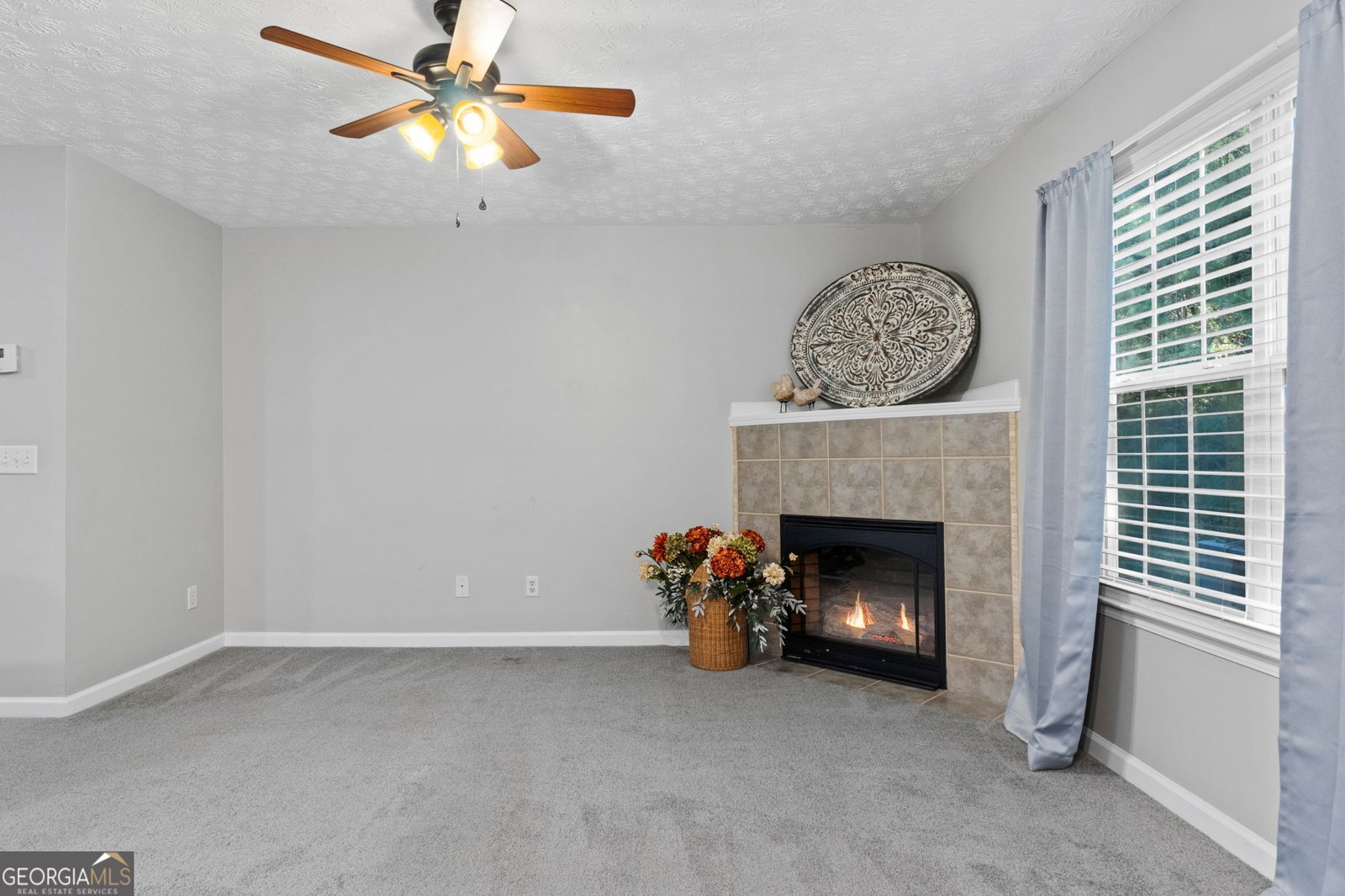 705 Georgetown Lane Jonesboro - 8