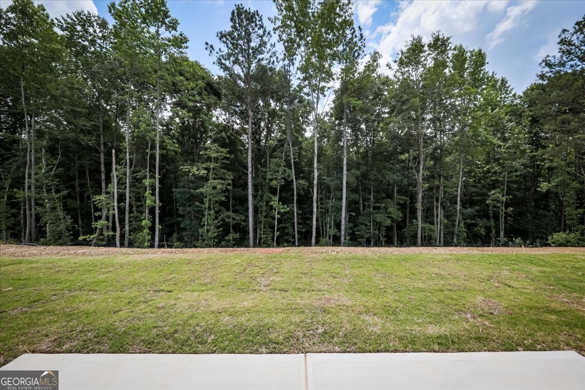316 WHITE CREEK Loop Rockmart - Photo 39