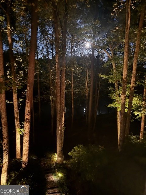 7315 Chattahoochee Bluff Drive Atlanta - 44