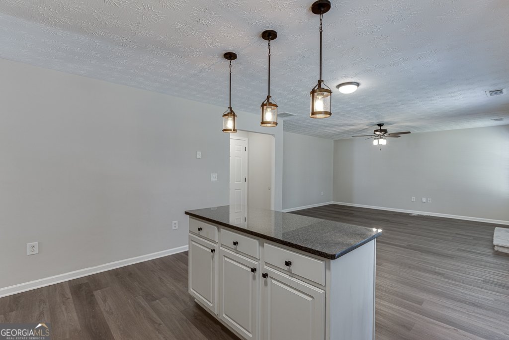 3931 Bogan Mill Road Buford - 11
