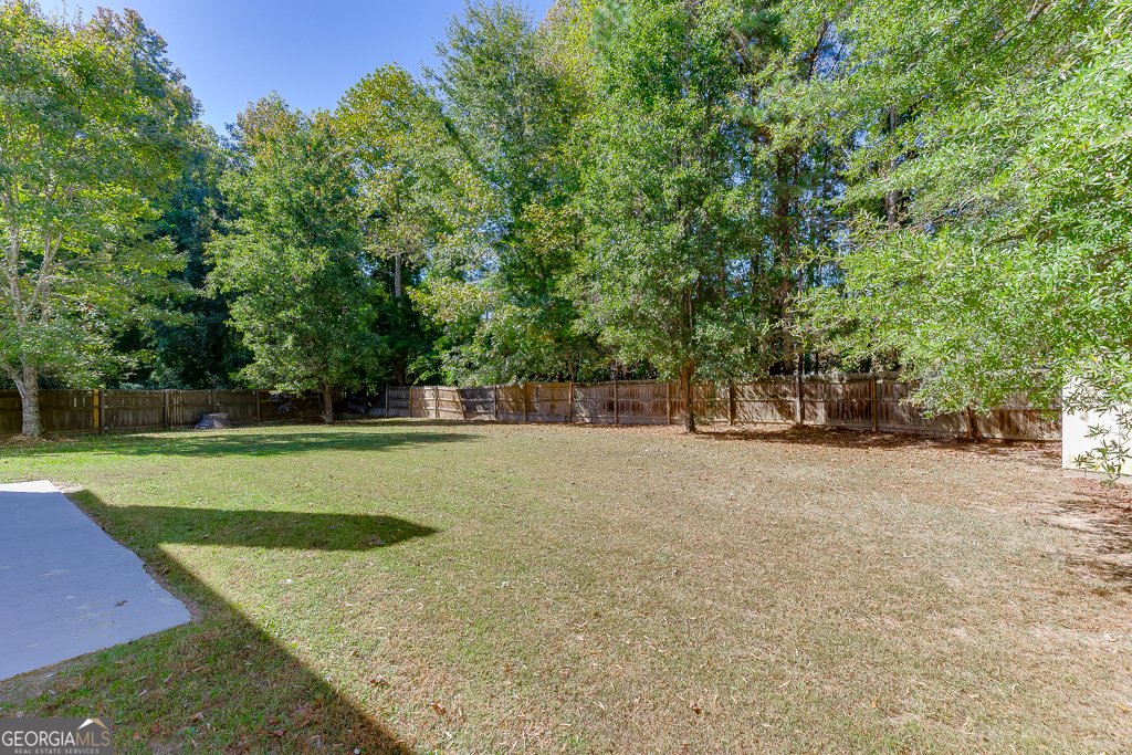 3931 Bogan Mill Road Buford - 28