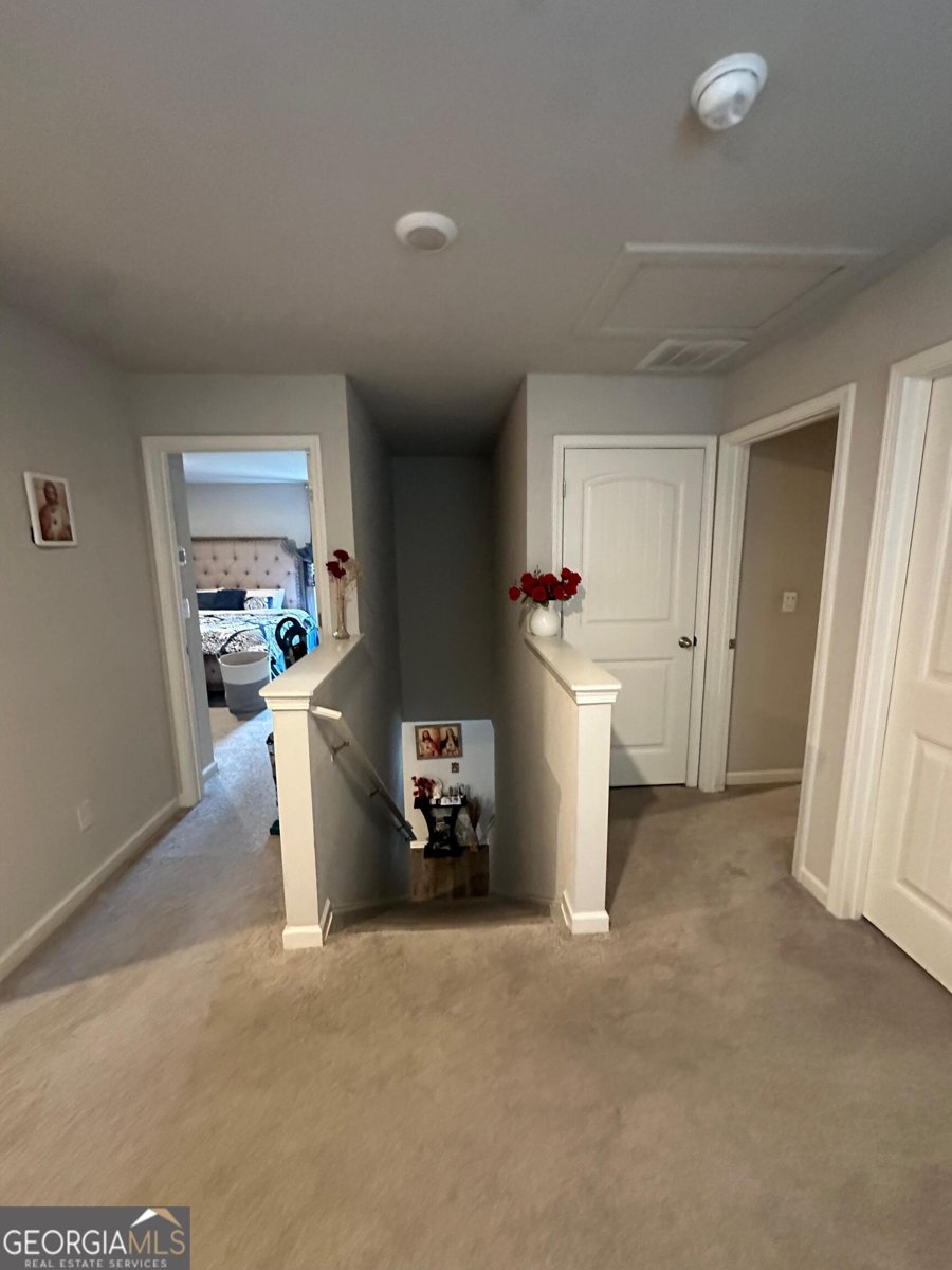 90 Quail Pass Dawsonville - 19
