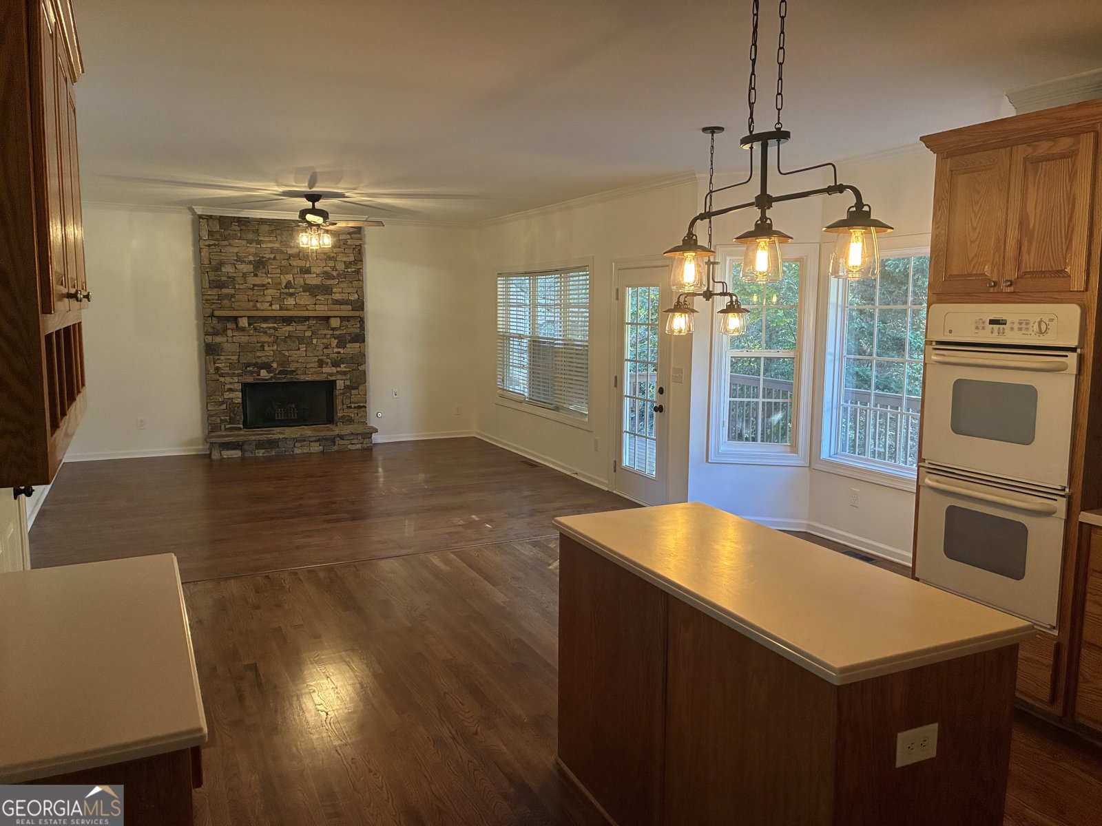 2638 Democracy Drive Buford - 19