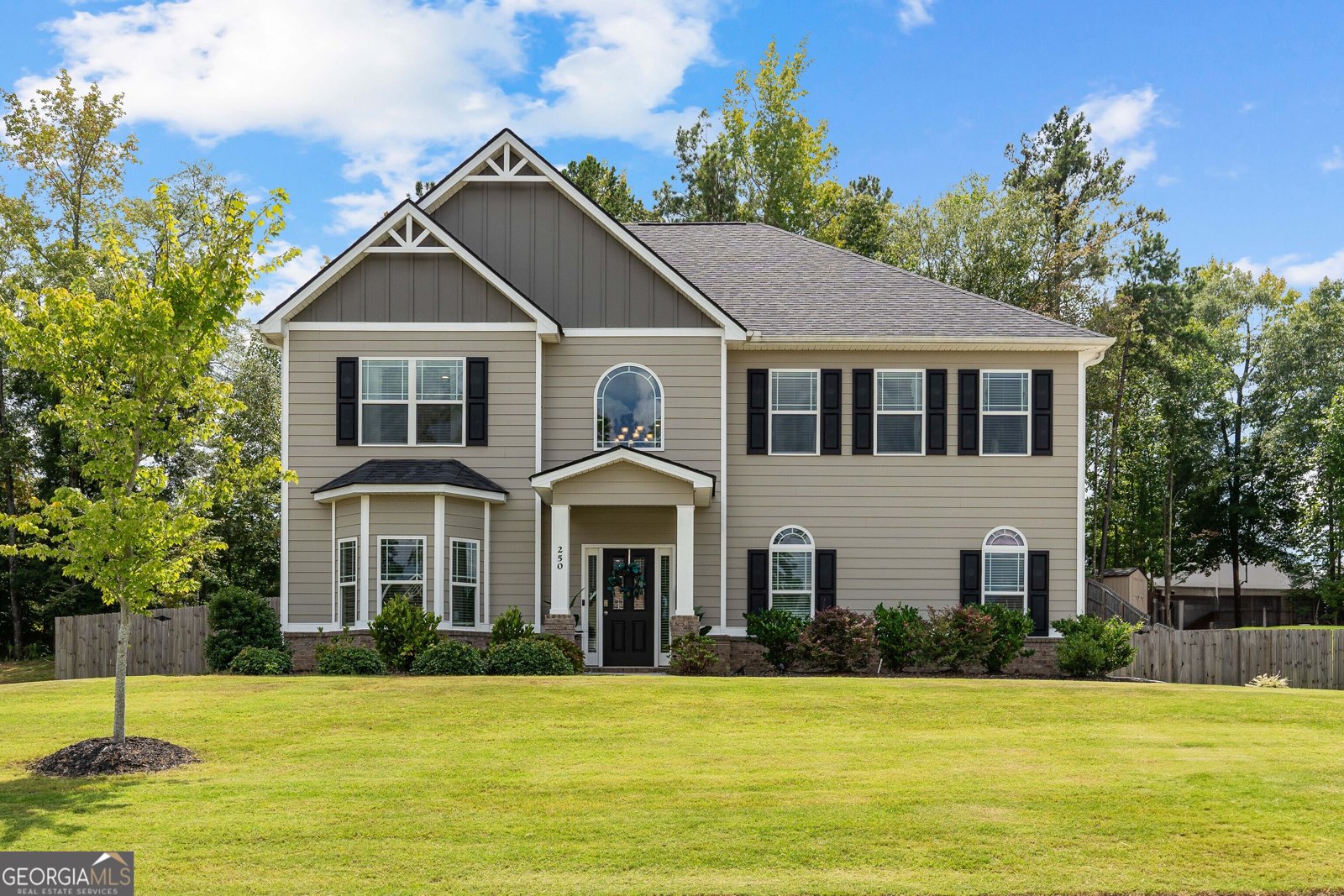 250 Calebee Avenue Senoia - 1