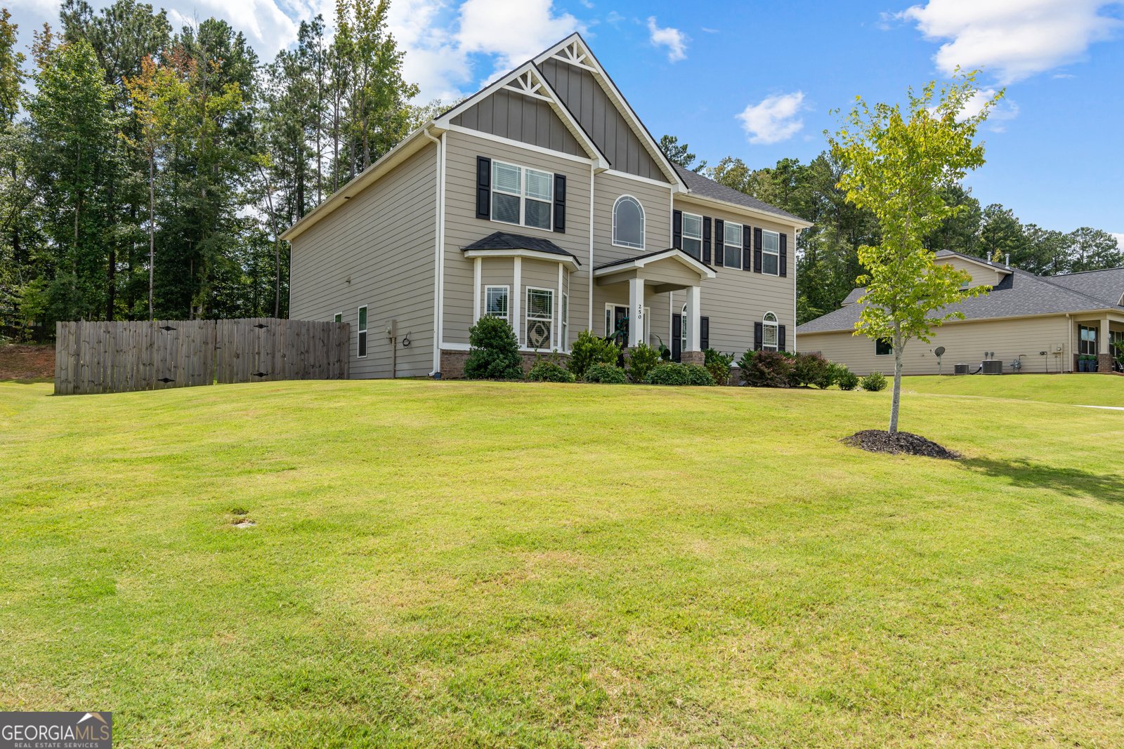 250 Calebee Avenue Senoia - 2