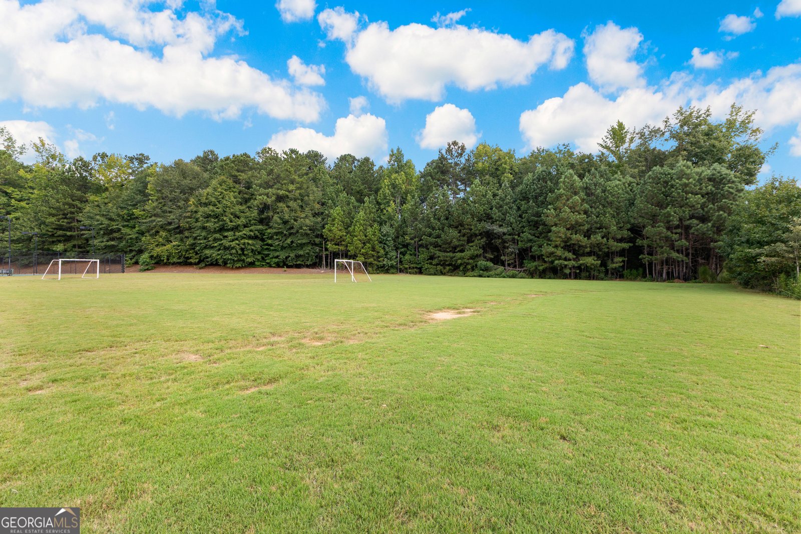 250 Calebee Avenue Senoia - 46