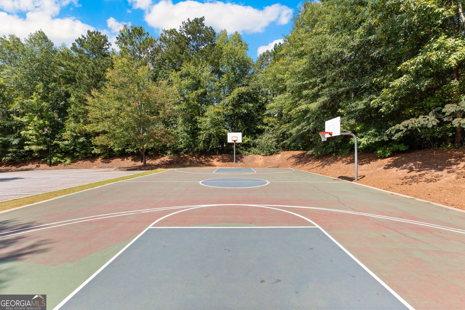 250 Calebee Avenue Senoia - 47