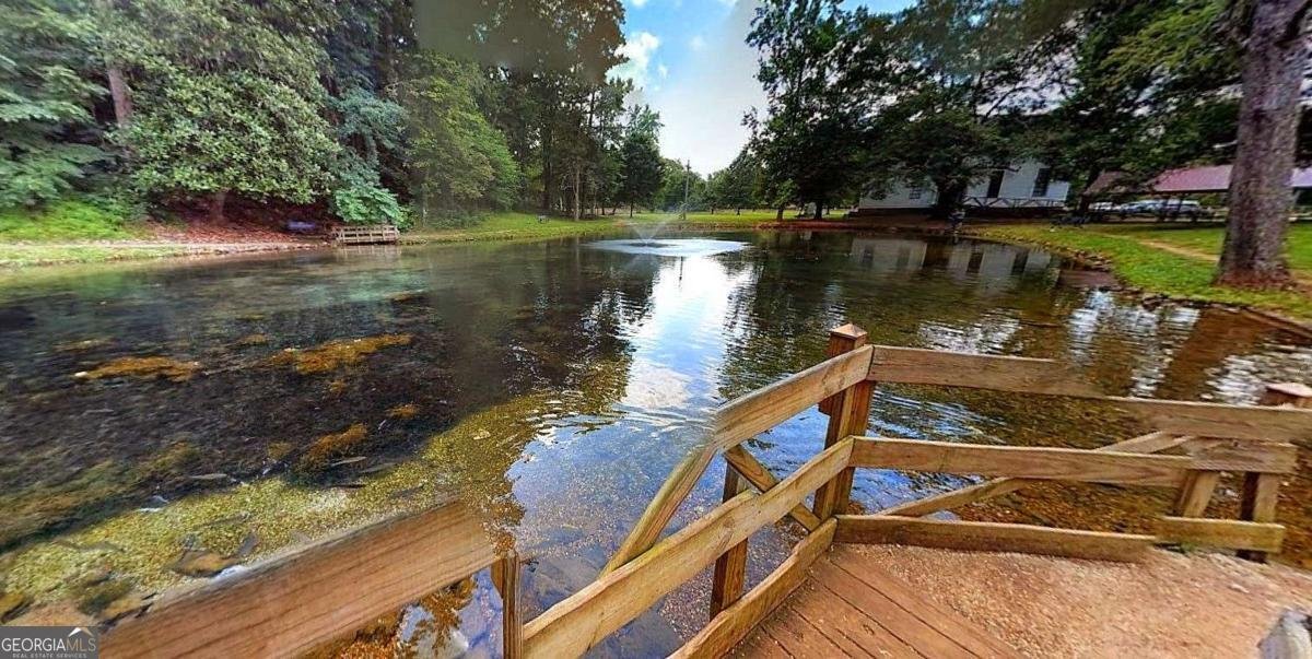 6 River Street Cave Spring - 83