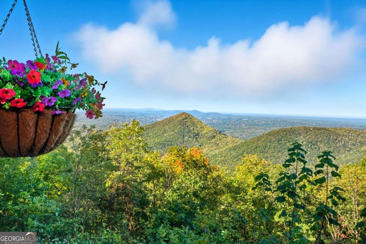 49 Rimrock Road Jasper - 14