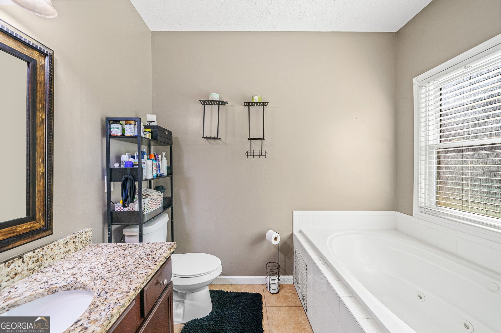 634 Shadowmoore Drive Riverdale - 5