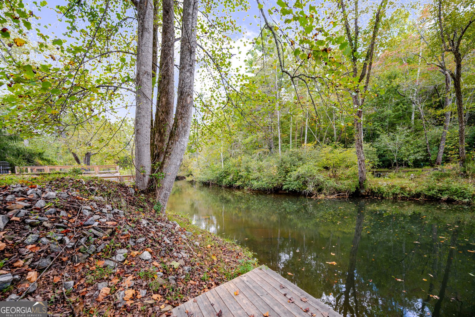 124 Candy Man Lane Dahlonega - 2