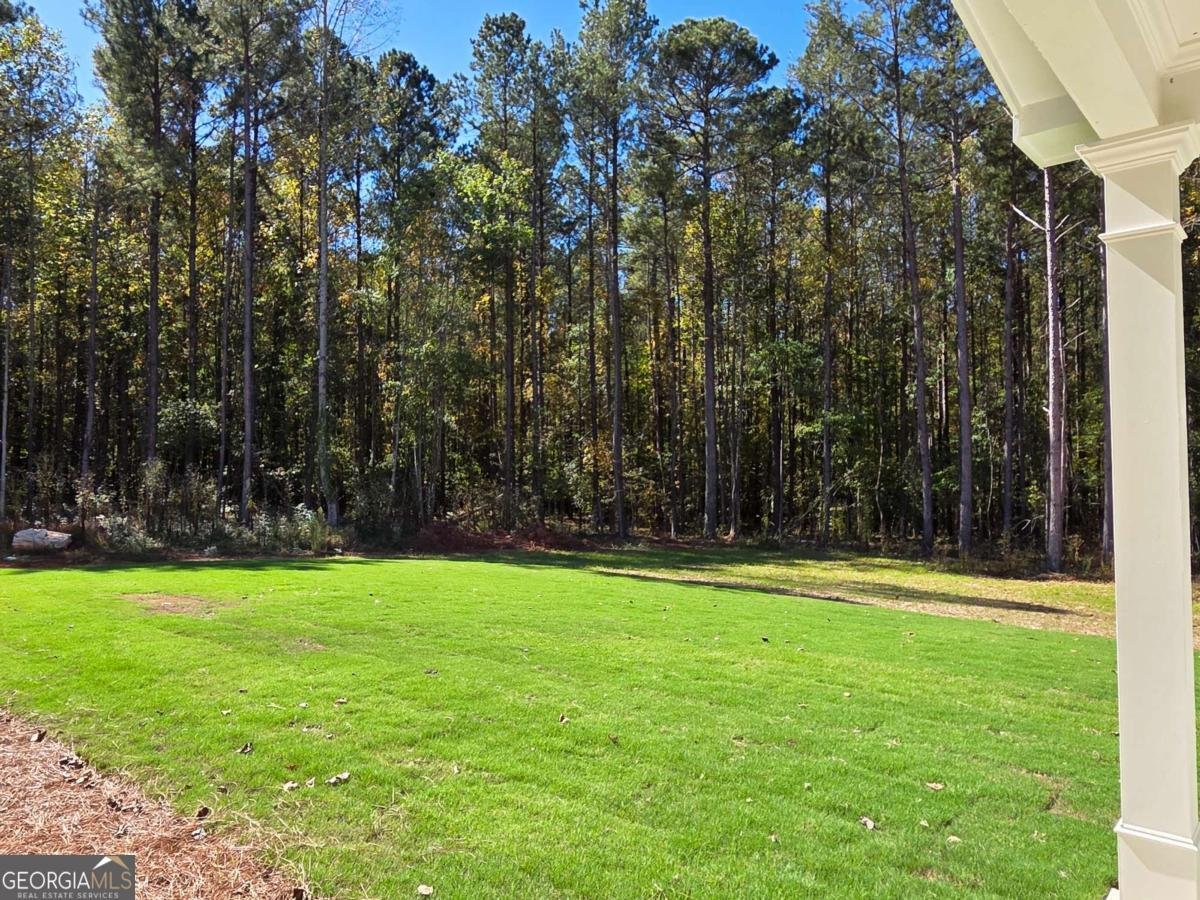 233 Meadows Drive Bethlehem - 4