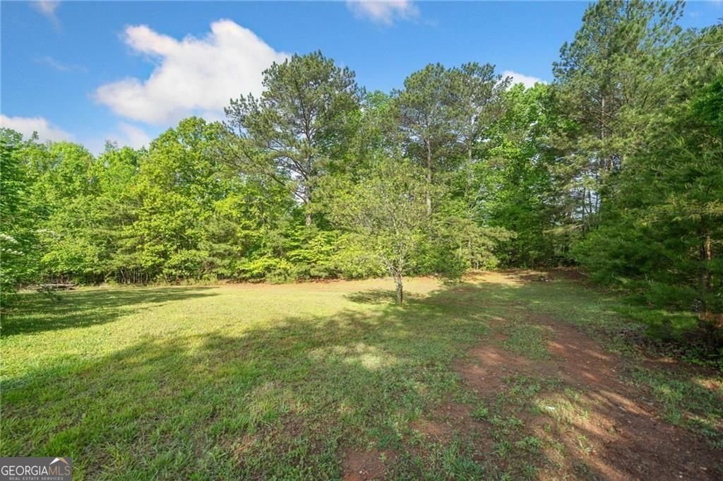 1575 Davis Road Fairmount - 33