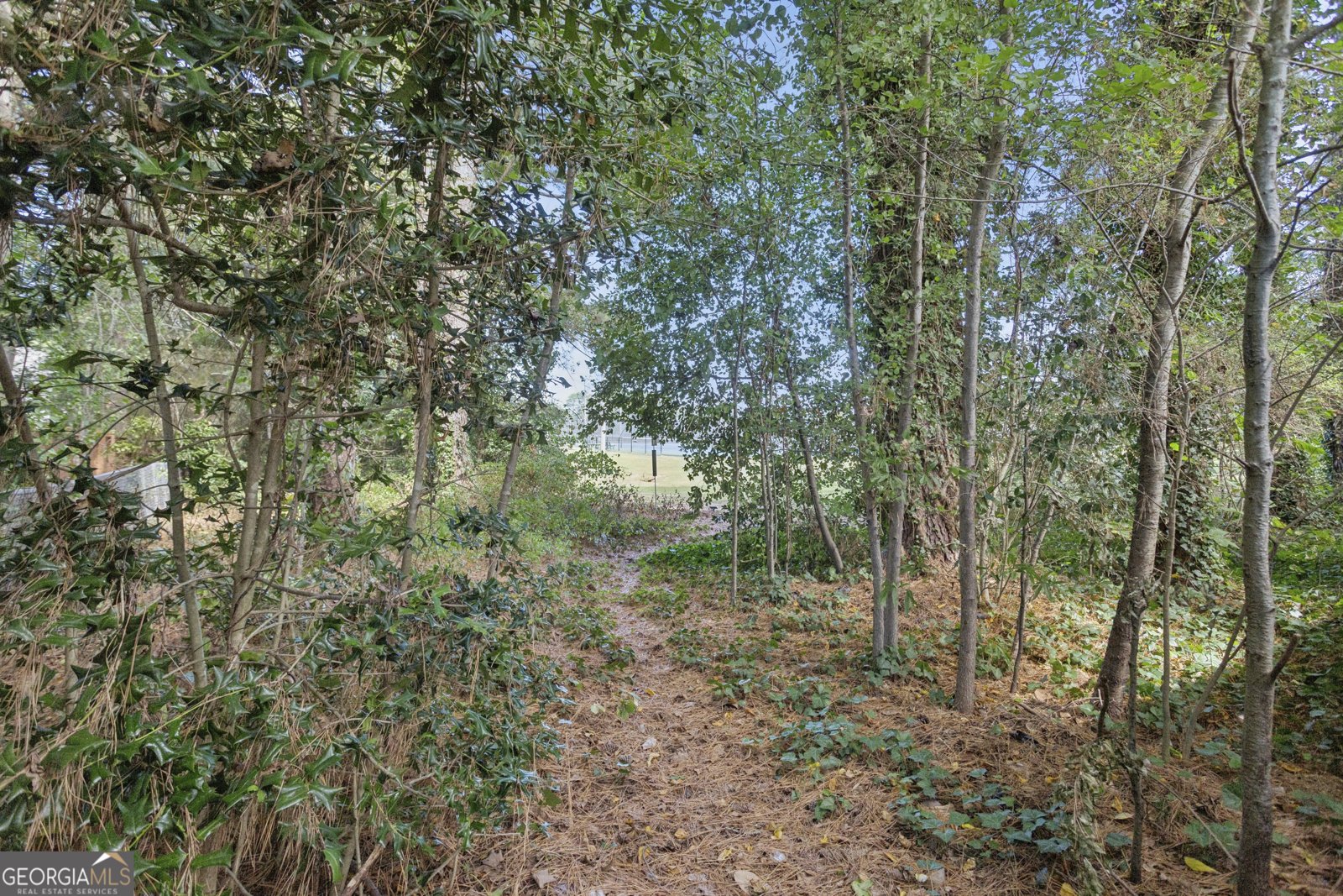 2995 Haverford Lane Marietta - 29