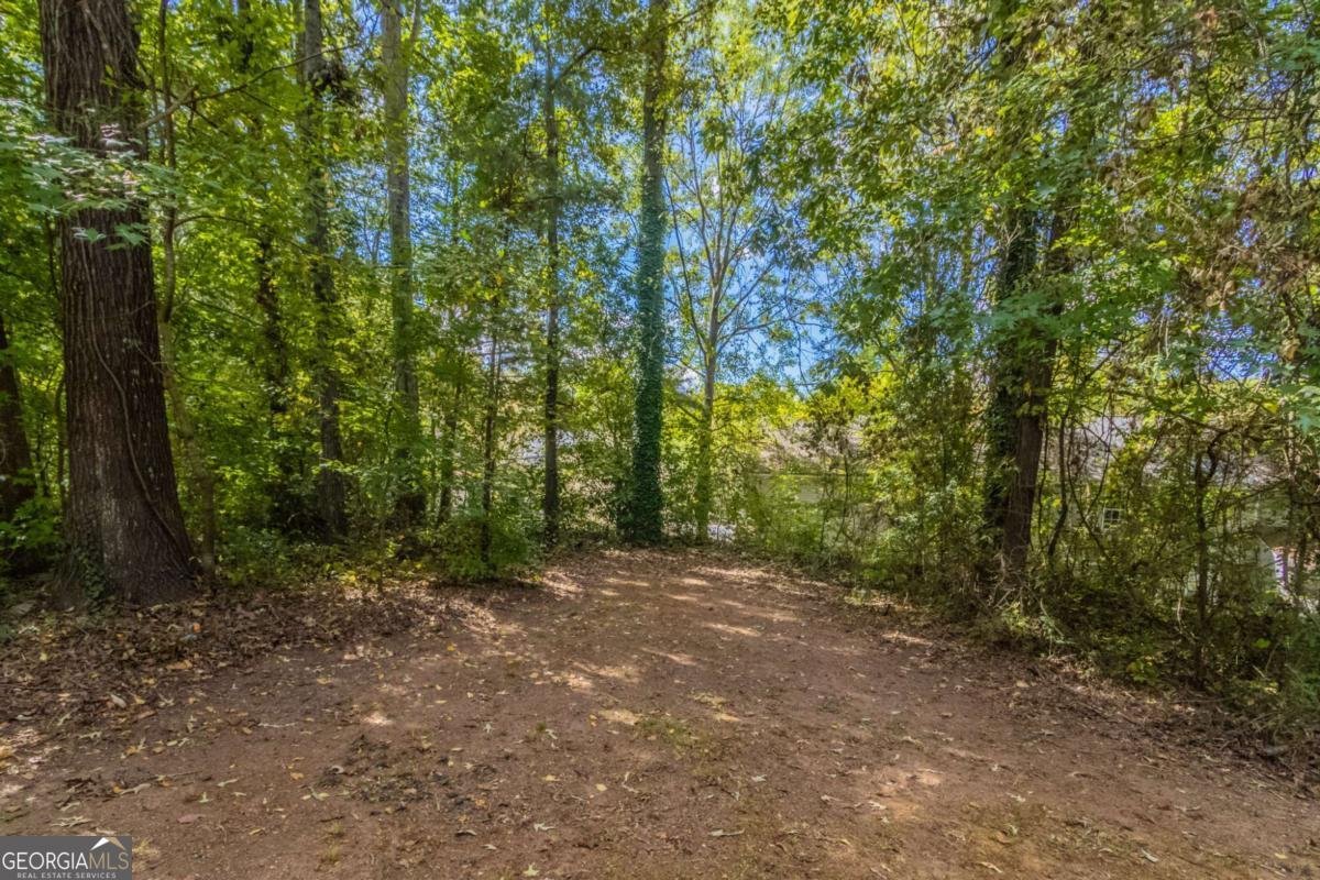 5585 Fairington Place Lithonia - 31