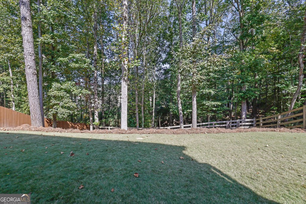 104 Market Lane Canton - 9