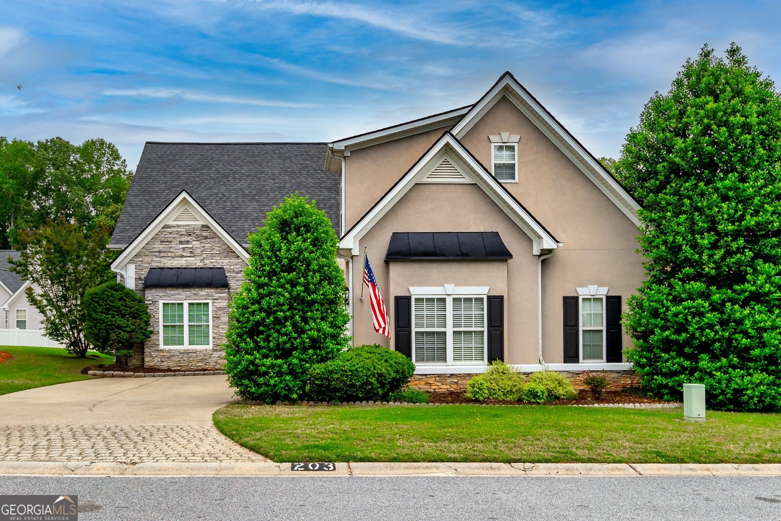 203 Lenox Drive Peachtree City - 2